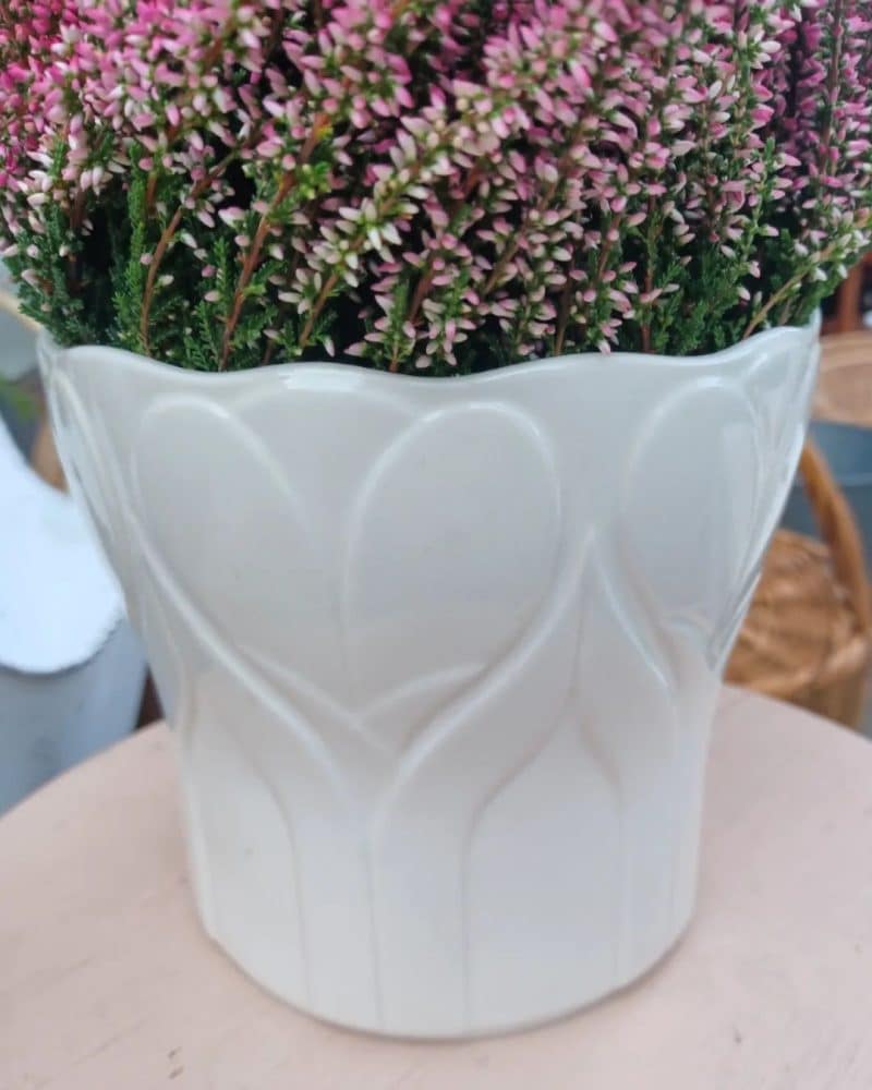 Porcelæns urtepotteskjuler Krokus fra Gustavberg
