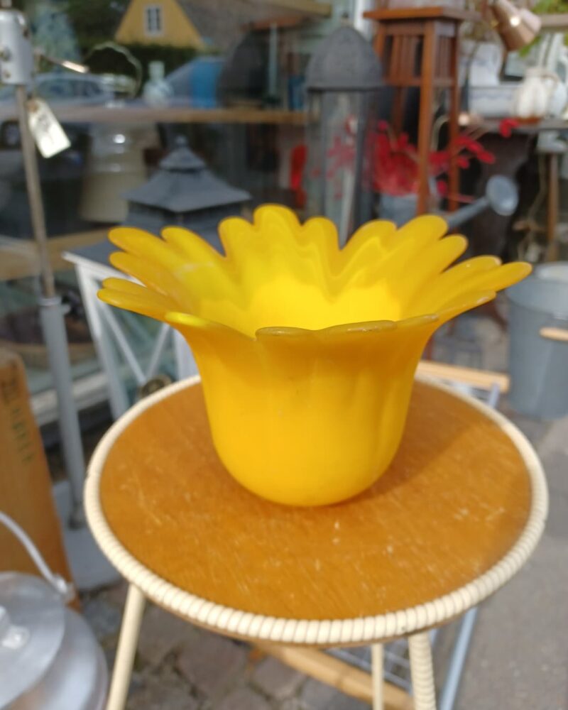 Skøn lille gul urtepotteskjuler i glas