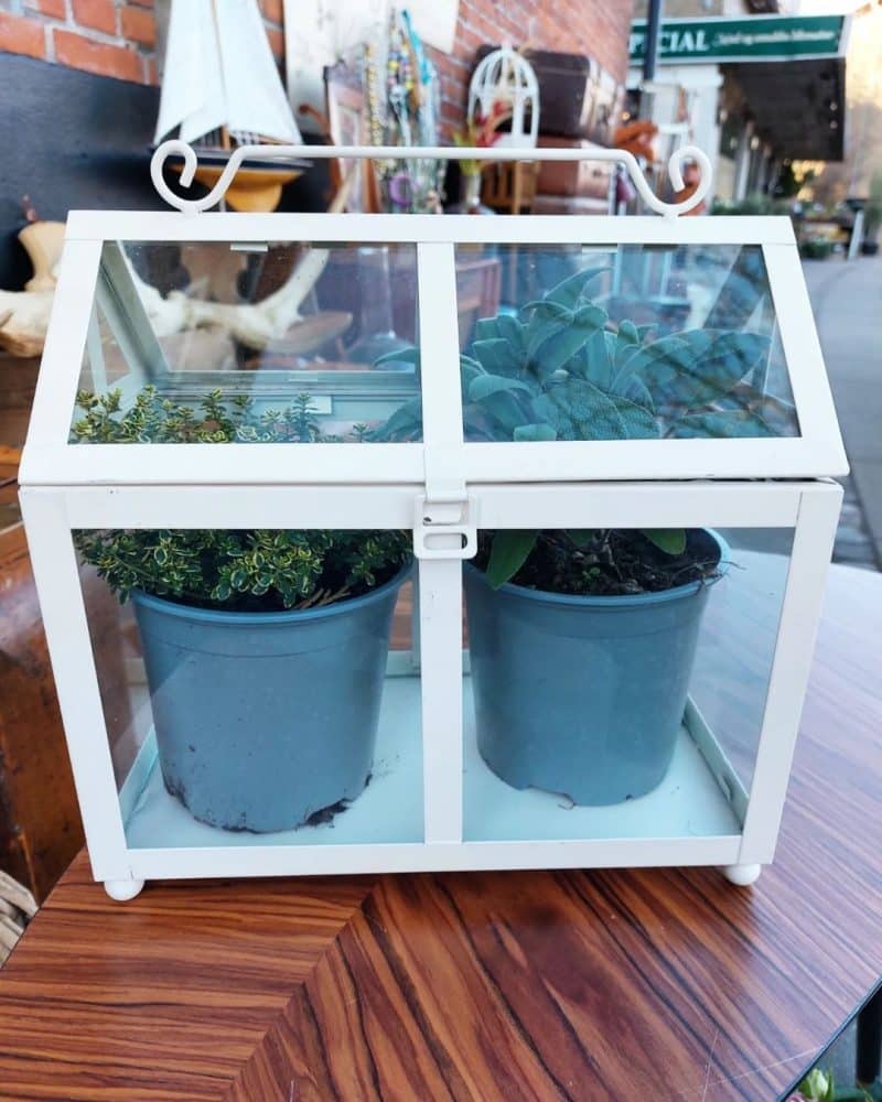 Skøn miniature drivhus i metal med glas.