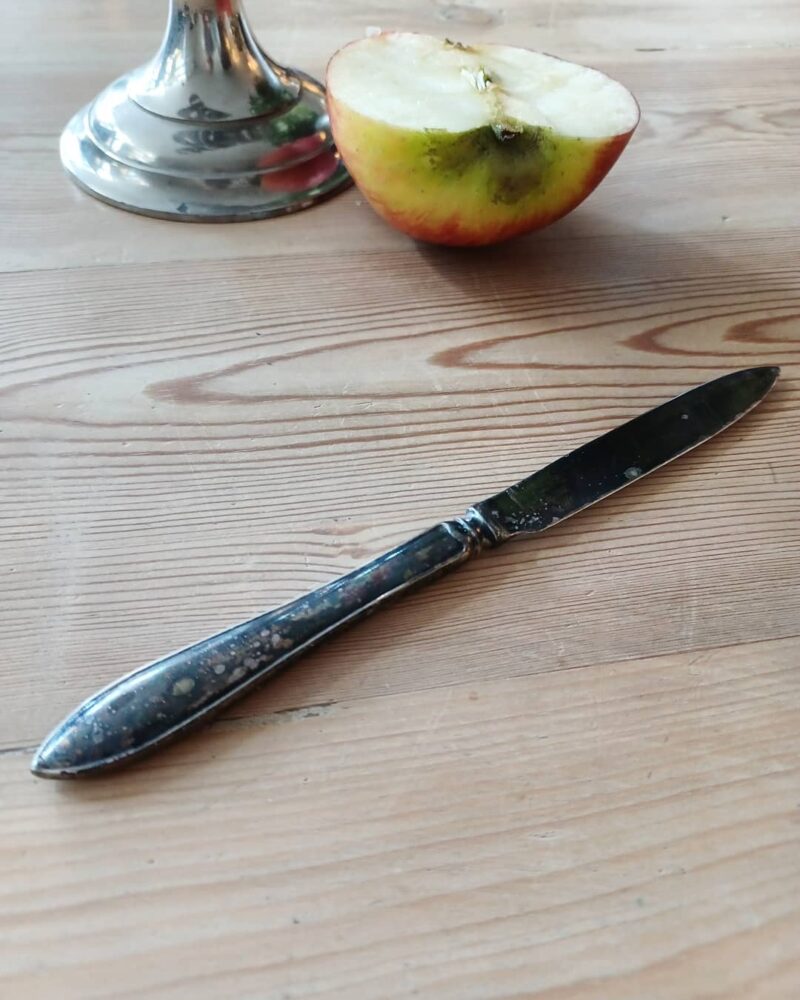 Frugt knive med holder